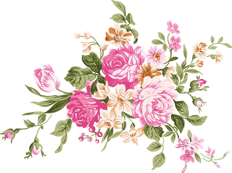 Old fashioned rose, ivory rose, white rose, rose, HD wallpaper