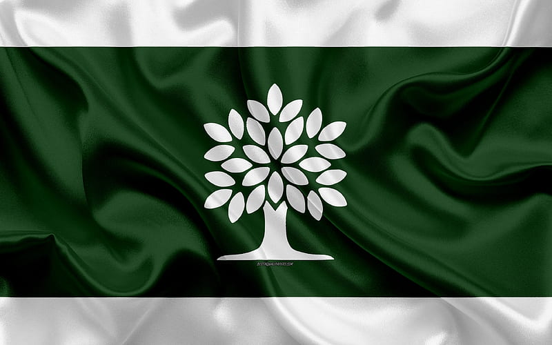 Flag of London silk texture, Canadian city, white green silk flag, London flag, Ontario, Canada, art, North America, London, HD wallpaper