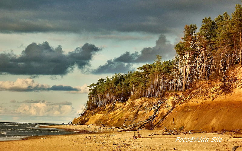 Coast of Latvia, clouds, trees, coast, beach, Latvia, sea, HD wallpaper