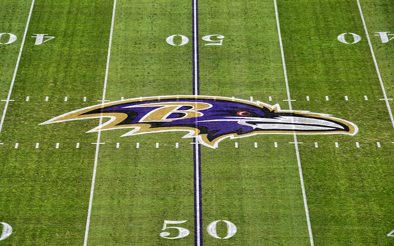 Baltimore Ravens logo, NFL, MT Bank Stadium, football stadium, american football, National Football League, Baltimore Ravens, USA, HD wallpaper
