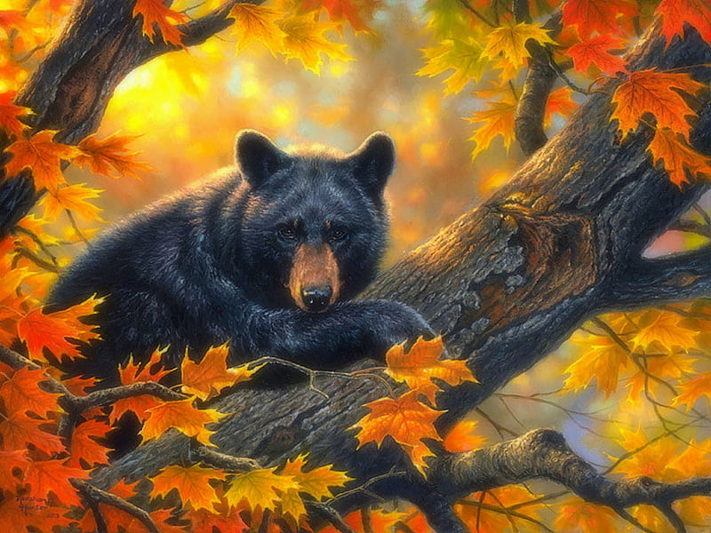 ✿Hanging Out✿, colorful, autumn, attractions in dreams, bonito, seasons, leaves, paintings, forests, animals, fall season, lovely, colors, love four seasons, creative pre-made, hanging out, trees, wildlife, nature, bears, branches, HD wallpaper
