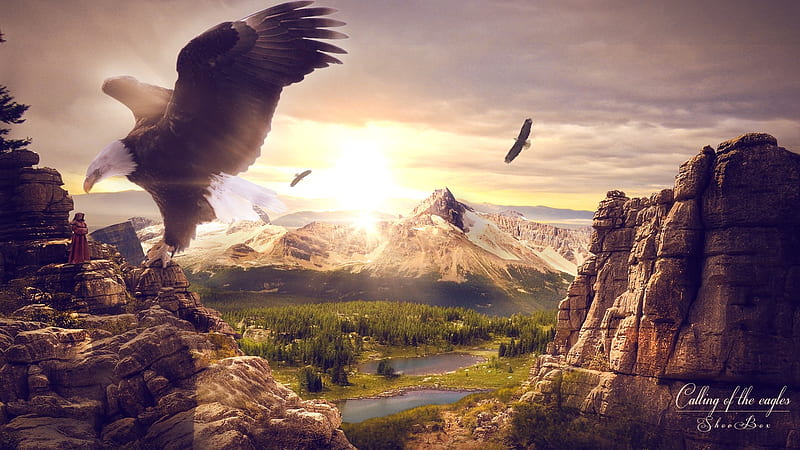 Calling of the eagle, man, lake, mountains, eagles, snow, woods, HD  wallpaper | Peakpx