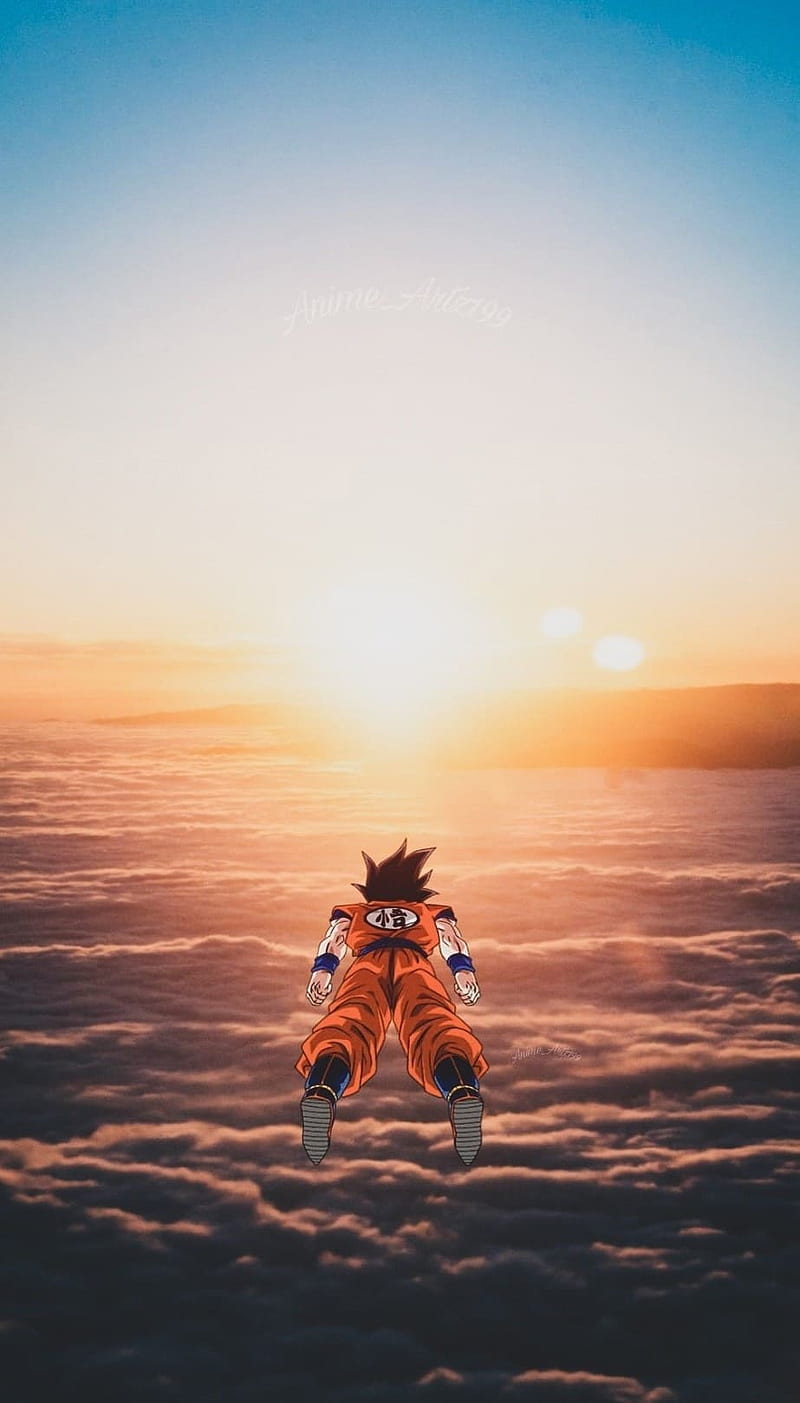 Anime Phone For Boys, Goku Sunset, HD phone wallpaper