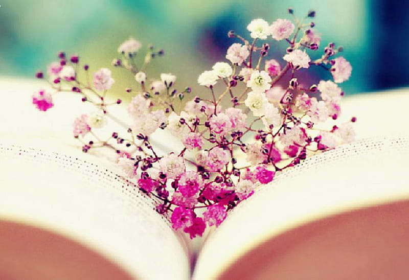 complicated heart, pretty, lovely, book, soft, delicate, nice, plants, flowers, nature, petals, HD wallpaper