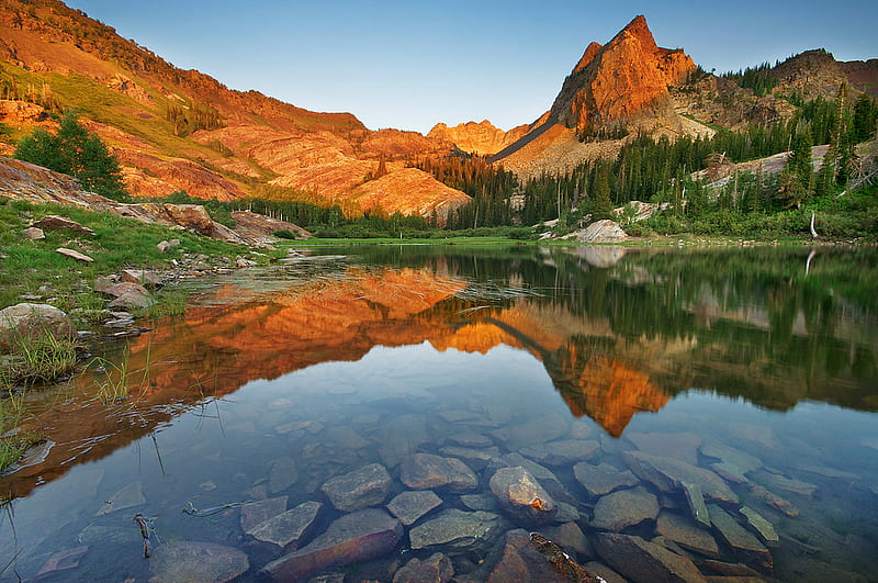 lake-blanche, water, stone, rock, grass, nature, reflection, trees, lake, HD wallpaper