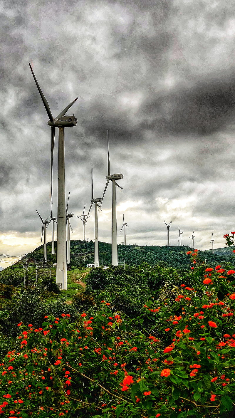 Wind Turbine, cross, flower, garden, mountain, nature, windmills, HD phone wallpaper