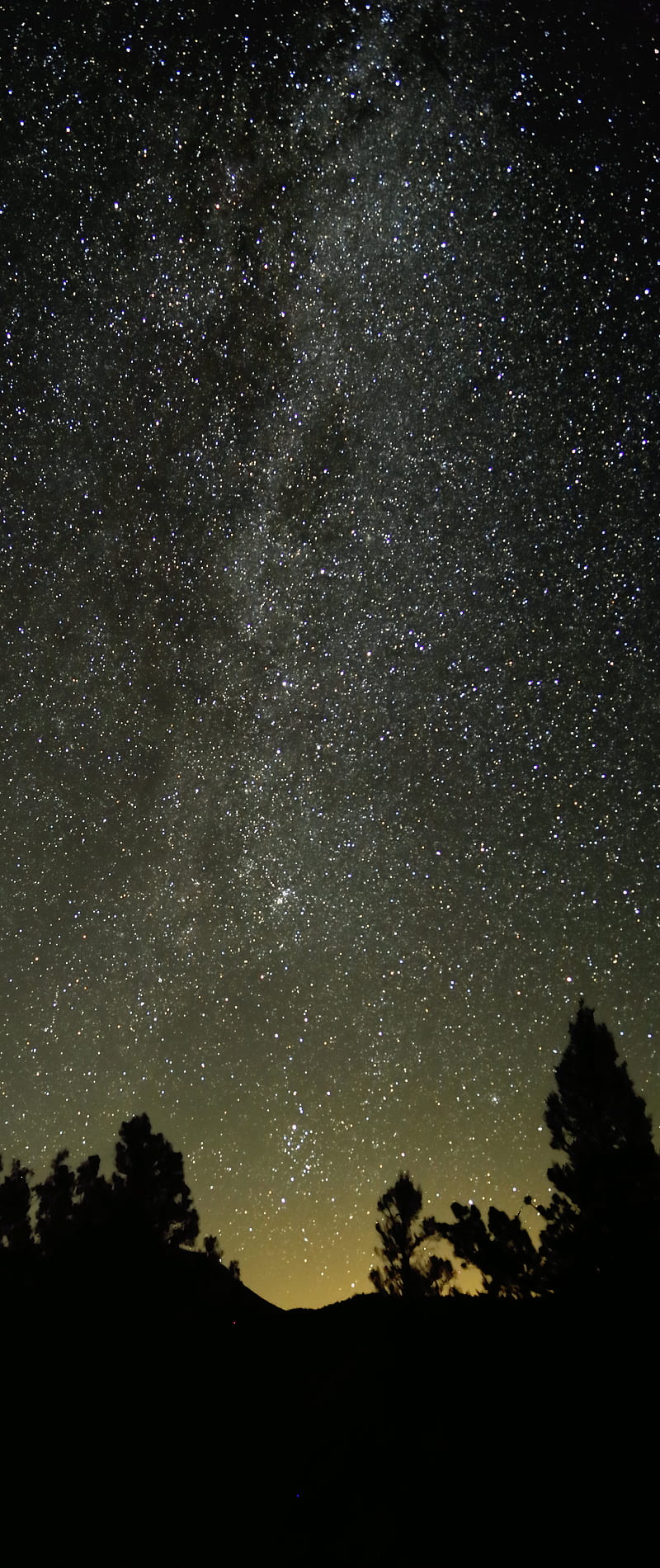 trees, nebula, starry sky, stars, night, silhouette, HD phone wallpaper