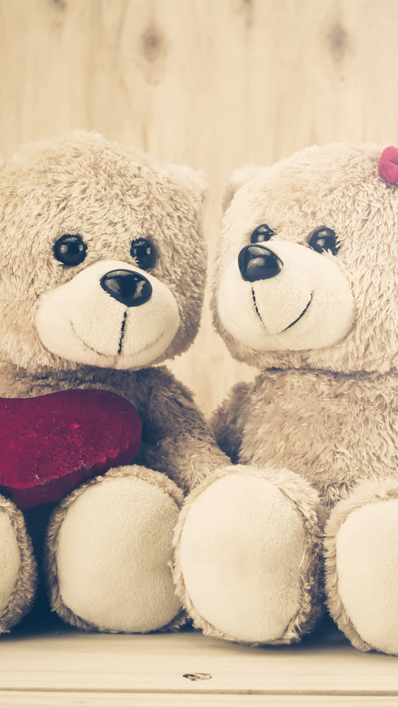 Teddy, bear, love, stuffed animal, HD phone wallpaper