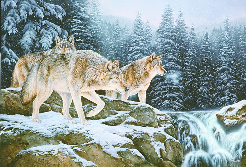 Wolves, art, snow, painting, lup, rosemary millette, wolf, winter, iarna, pictura, HD wallpaper
