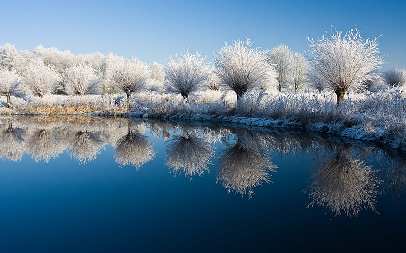 Winter, lake, iarna, tree, water, ice, reflection, frozen, white, blue, HD wallpaper