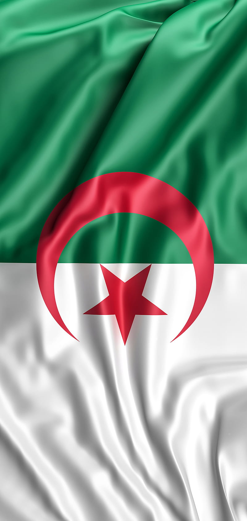 Drapeau Algerie algeria, caf, coupe afrique, dz, fennec, flag, u, HD phone wallpaper