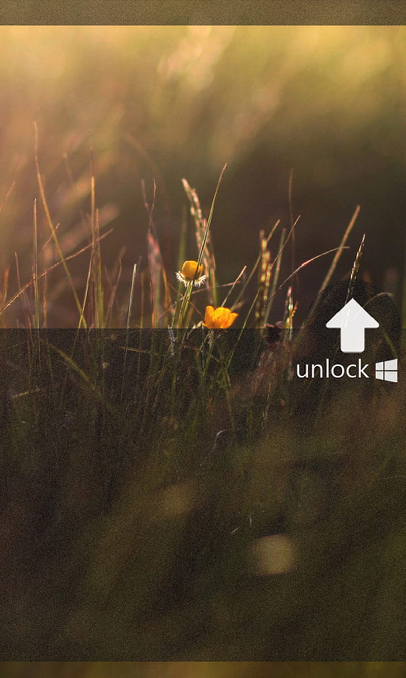 Windows Lock, lumia, nature, nokia, phone, swipe, unlock, vista, xp, HD phone wallpaper