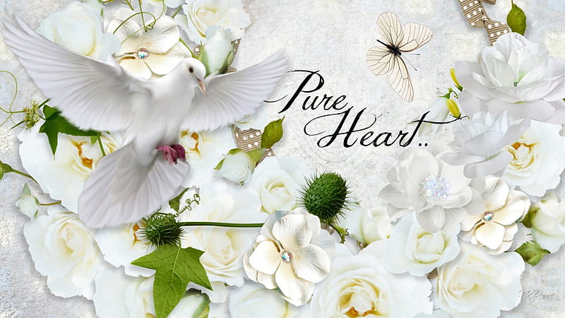 Heart So Pure, pigeon, butterfly, bird, pure, flowers, dove, peace, white, HD wallpaper