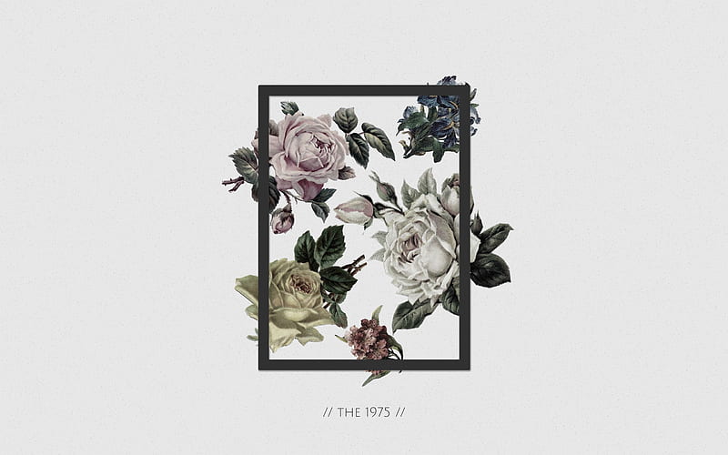 Made a few for you all!, The 1975 Album, HD wallpaper