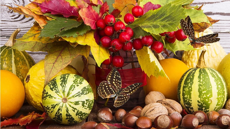 Farmers Market, fall, autumn, harvest, food, gourds, nuts, leaves, eaves, butterfly, berries, garden, HD wallpaper