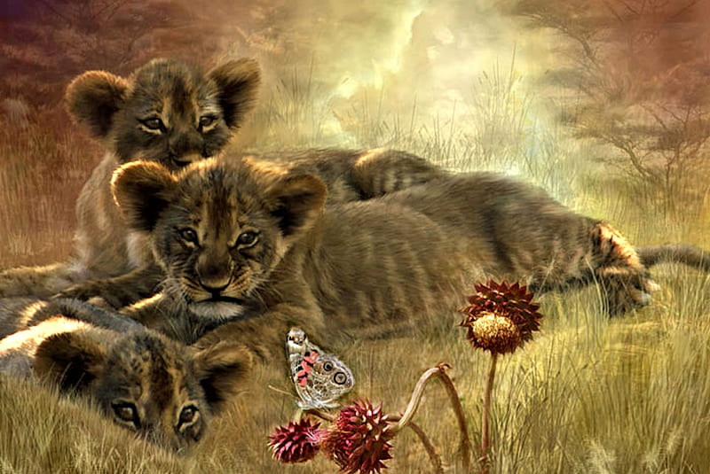 Leones dulces, león, arte, mariposa, dulce, Fondo de pantalla HD | Peakpx