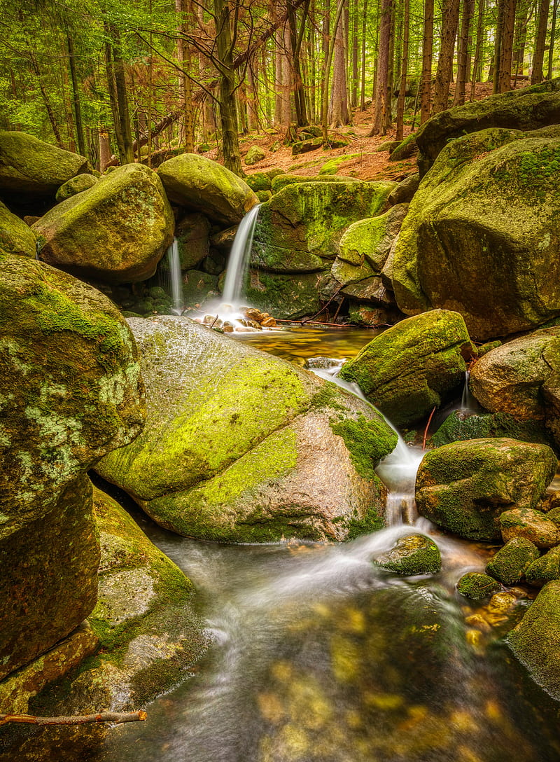 stream, stones, moss, forest, nature, HD phone wallpaper