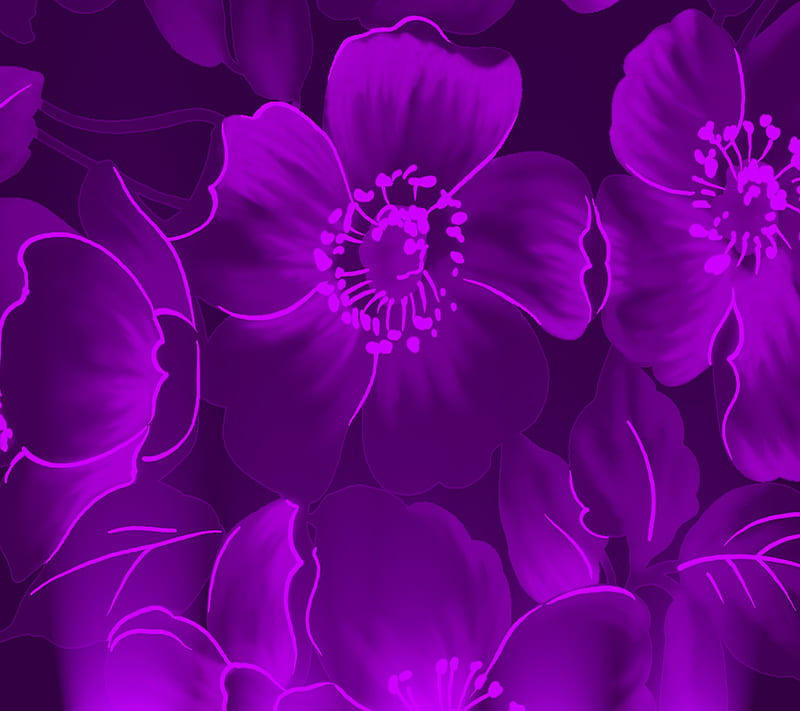 Floral Flowers, HD wallpaper | Peakpx