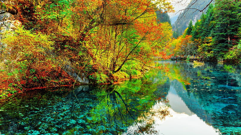 Beautiful Colorful Autumn Trees Greenery Mountain Reflection On Lake ...