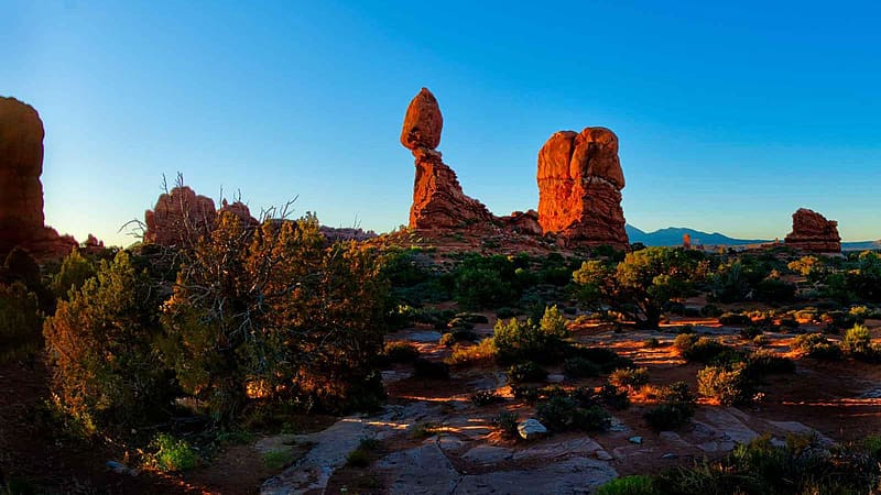 Balanced Rock Landscape, Arches National Park, Moab, Utah, desert, rocks, stones, usa, trees, HD wallpaper