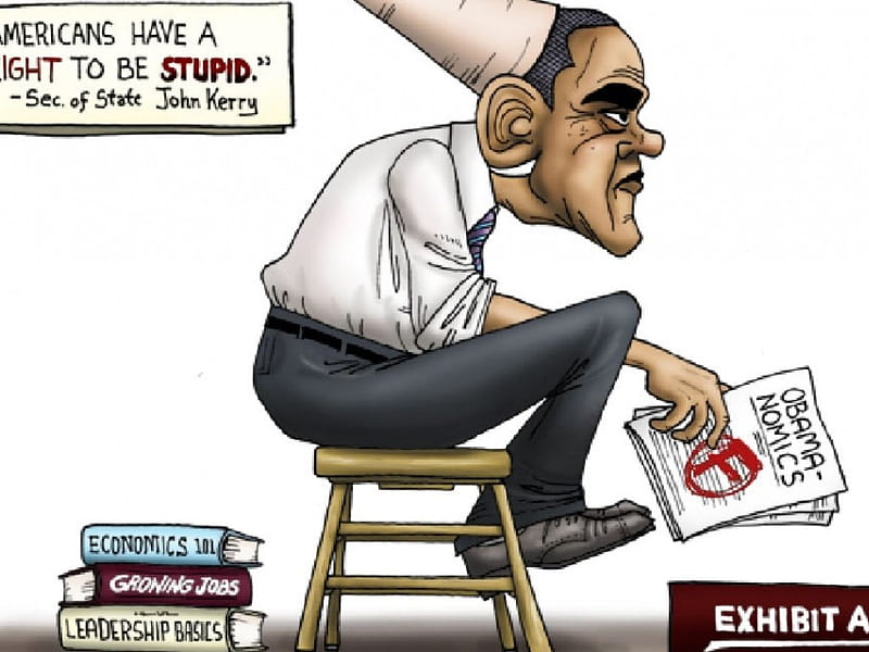 Obama Nomics, Obama, leadership, failure, loser, dom, America, presidents, political, HD wallpaper