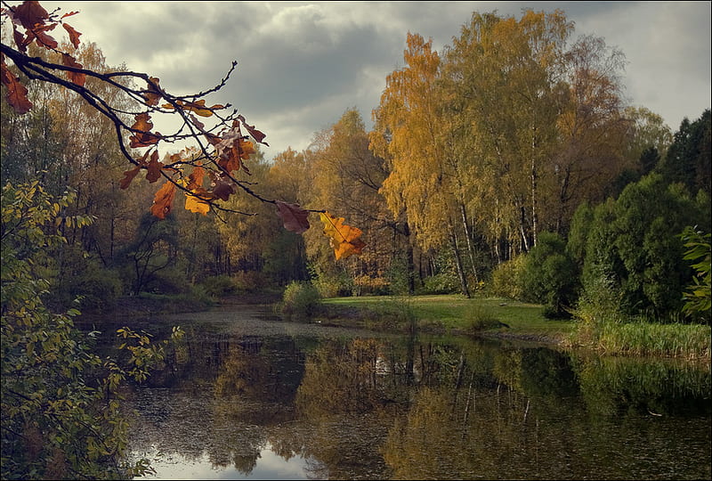 Autumn Garden., fall, autumn, tree, cloud, river, reflection, sky, HD ...