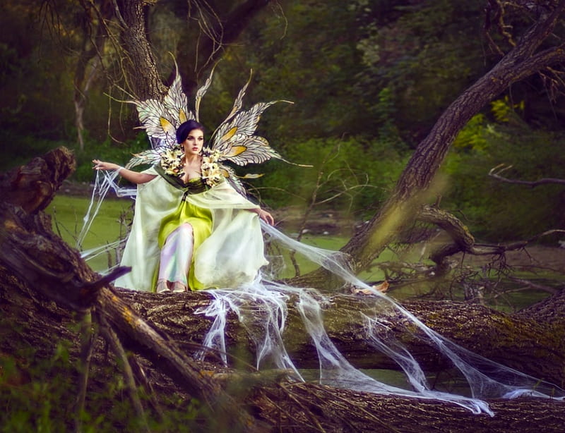 Fairy, forest, wings, model, galiya zhelnova, woman, tale, girl, green, white, HD wallpaper