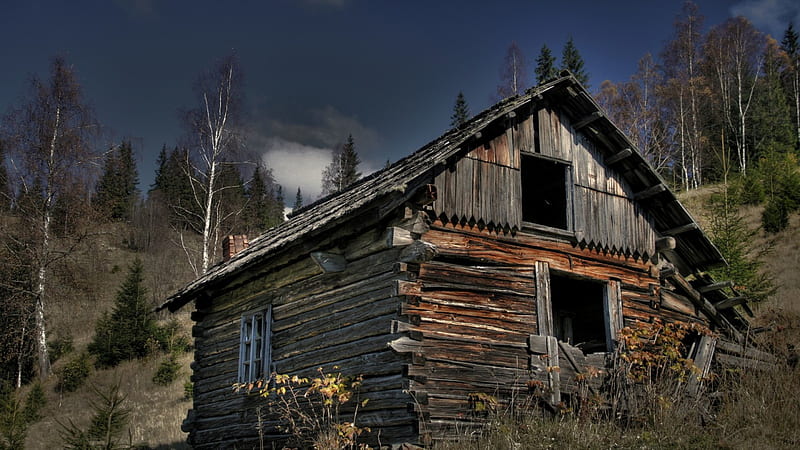 abandoned log cabin on a mountainside, mountainside, cabin, trees, abandoned, log, HD wallpaper