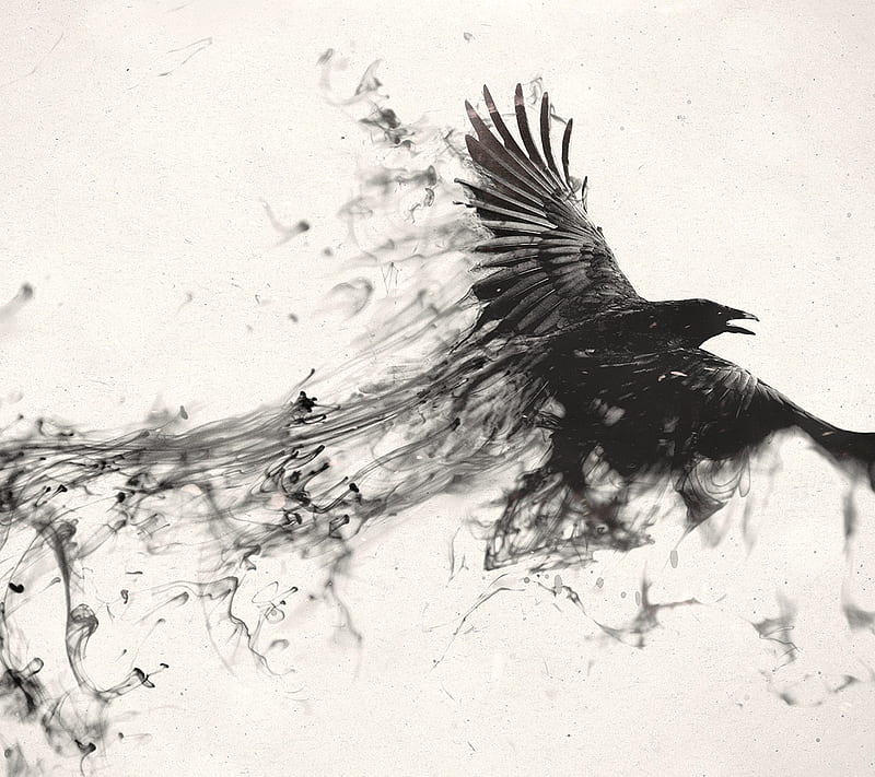 Black bird, fly, smoke, HD wallpaper