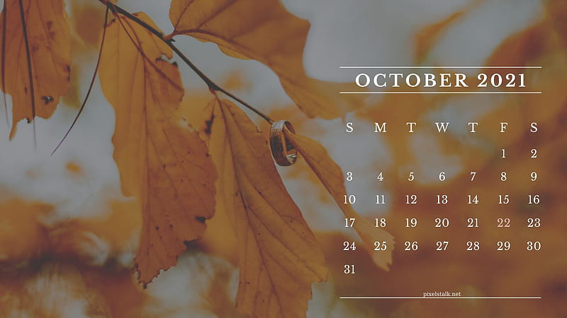 October 2021 Calendar, October Birtay, HD wallpaper