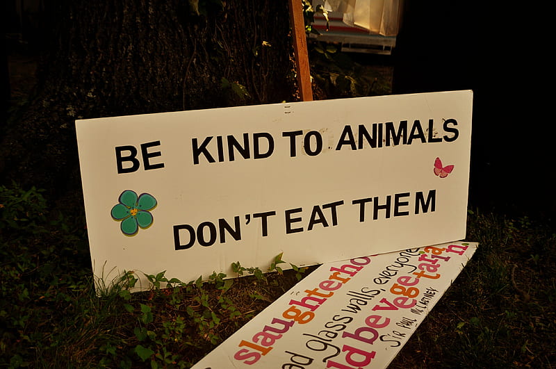 be kind to animals, poster, kind, veg, vegetarian, sign, animal animals, vegan, HD wallpaper