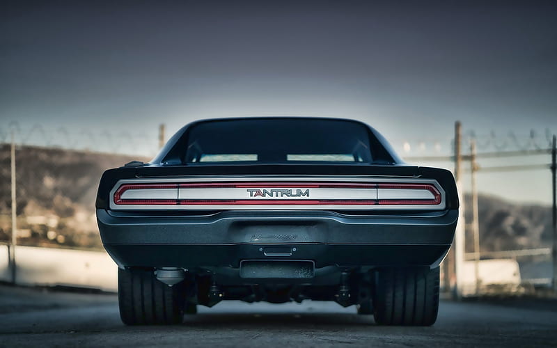 Dodge Charger, back view, muscle cars, 1970 cars, tuning, retro cars, 1970 Dodge Charger, american cars, Dodge, HD wallpaper
