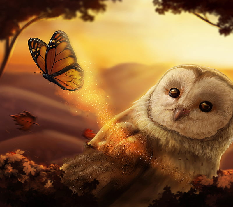 Autumn Owl, HD wallpaper