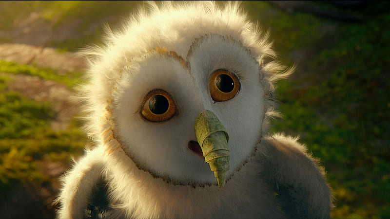 Legend of the Guardians-The Owls of GaHoole movie 14, HD wallpaper