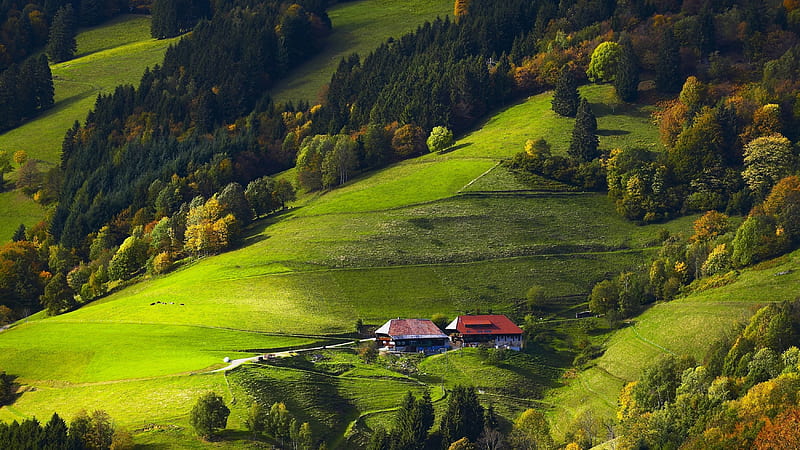 Black Forest, Germany, hills, green, grass, houses, trees, landscape, HD wallpaper