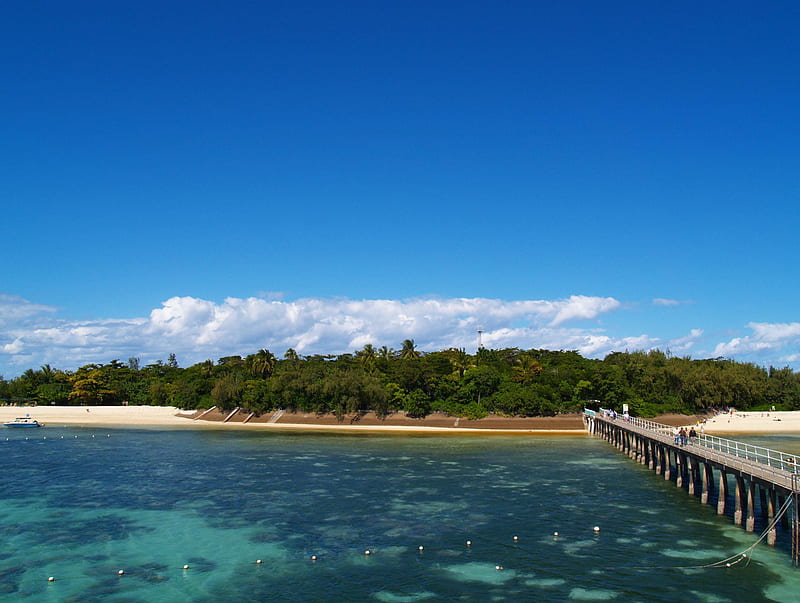 Green Island, Australia, beach, green island, board walk, tropical, palm trees, HD wallpaper
