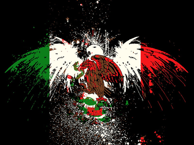 mexico flag, mars, moon, sailor, bird, HD wallpaper