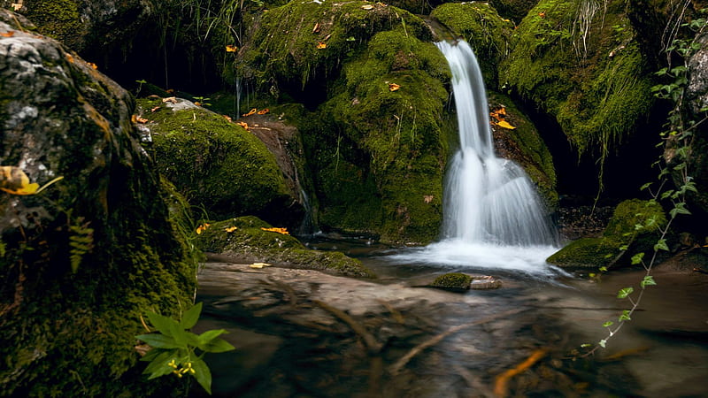 Idyllic waterfall in Austria, trees, ricer, rocks, cascade, alps, HD wallpaper