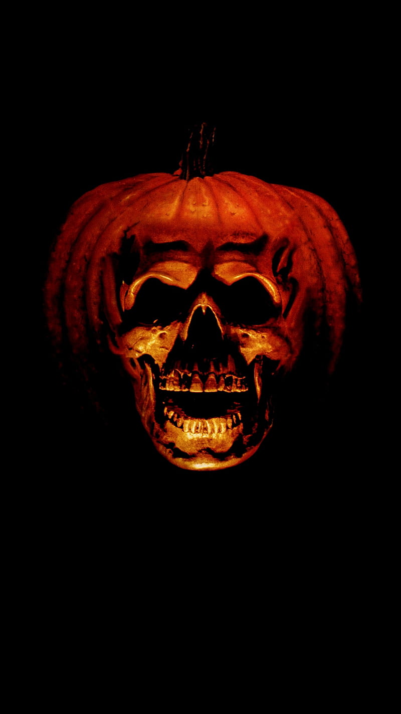 Halloween II, 2009, movie, poster, without text, HD phone wallpaper