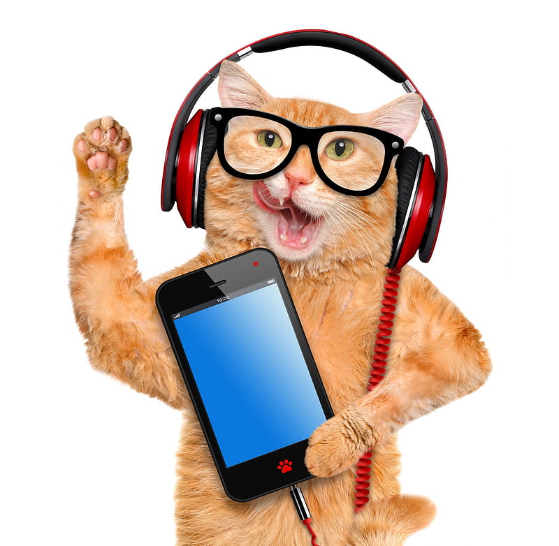 Lambada!, red, orange, music, ginger, glasses, headphones, cat, animal, phone, funny, pisica, blue, HD wallpaper