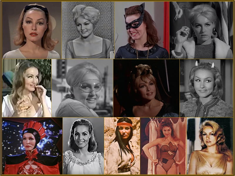The Many Faces of Julie Newmar, Catwoman, Zarina, Julie Newmar, Eleen, The Living Doll, HD wallpaper
