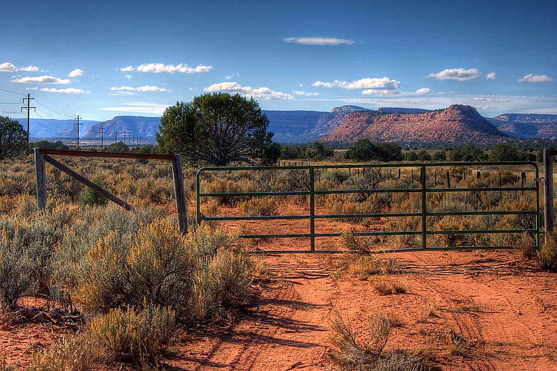 Arizona desert, gate, desert, scrub, arizona, plants, america, red dirt, HD wallpaper