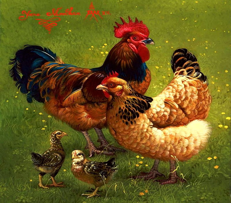 Poultry Family, hen, rooster, chicken, painting, artwork, HD wallpaper