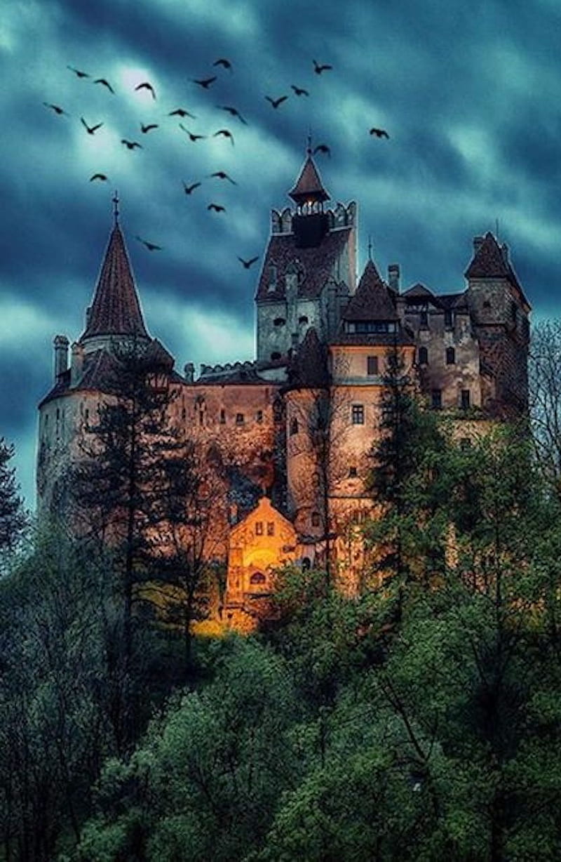 Dracula castle, castle, romania, HD phone wallpaper | Peakpx