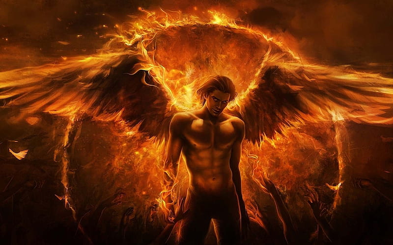 d.n.angel