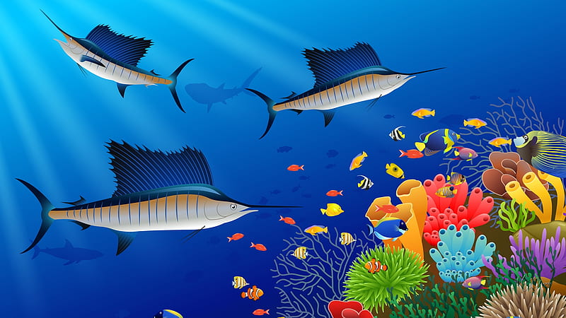Sword Fish Sea, shark, sea plants, fish, coral, sea, sword fish, HD wallpaper