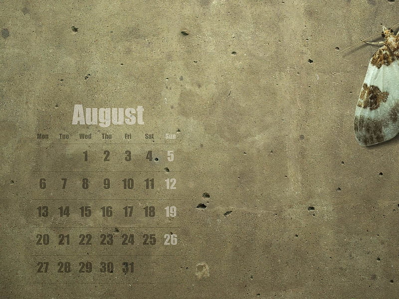 Your Title Holed-August 2012 calendar, HD wallpaper