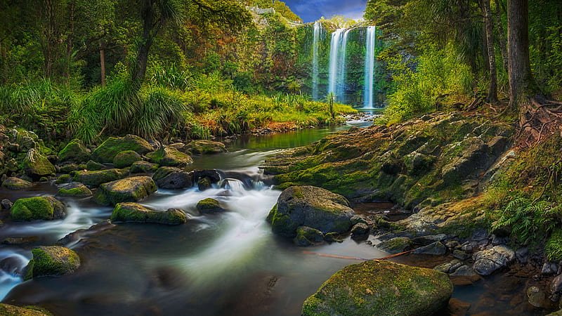 A Waterfall Flowing Through A Subtropical Forest , waterfall, forest, nature, HD wallpaper