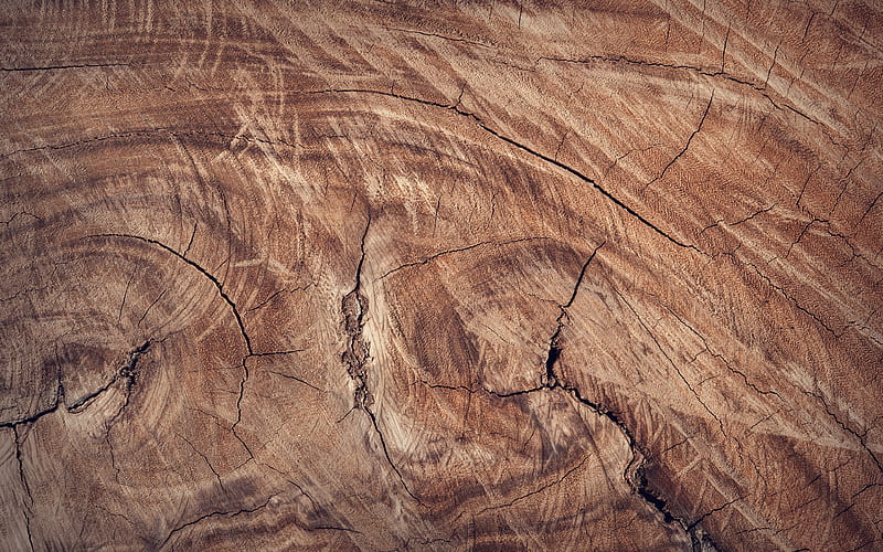 brown wooden texture, close-up, wooden background, cracked tree texture, wooden textures, brown background, light wood, HD wallpaper