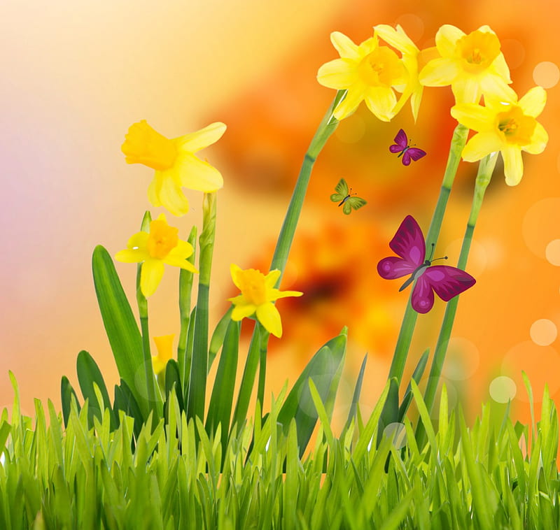 Spring Flowers, grass, flowers, yellow, spring, butterflies, meadow, HD wallpaper